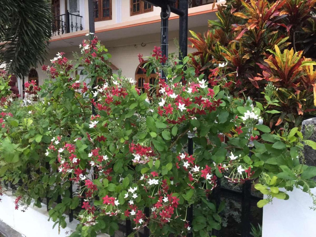 Senthil Complex Hotel จาฟนา ภายนอก รูปภาพ